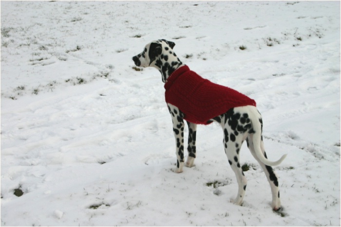 und das ist also Schnee...